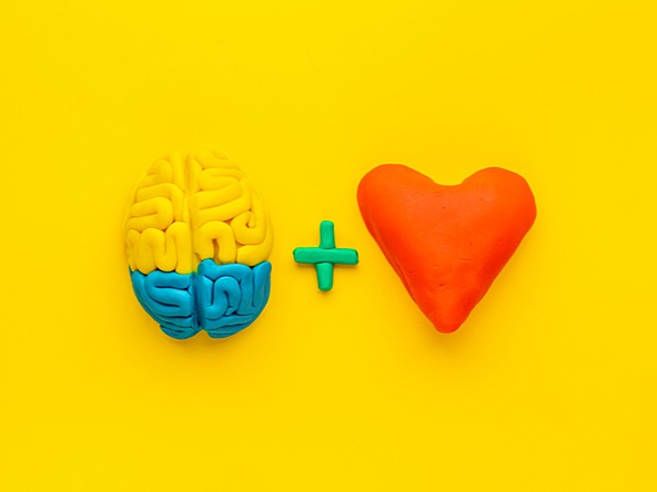 brain and heart  made of clay
